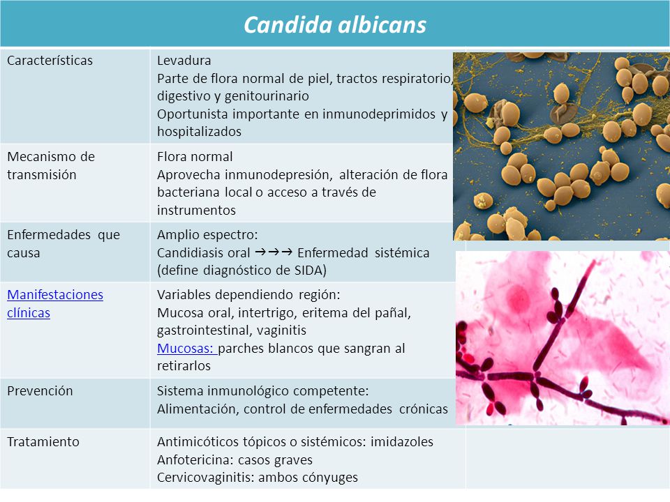 candidiasis sistemica prevencion candidiasis sistemica prevencion
